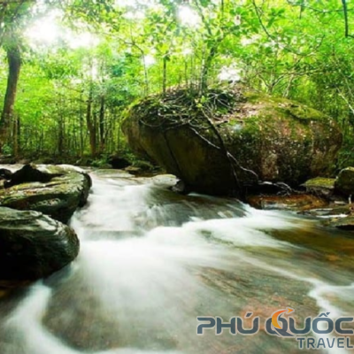 Suối Tranh Phú Quốc - Bức Tranh đầy mê hoặc của Phú Quốc